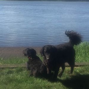 Meet your Posher, Sharon